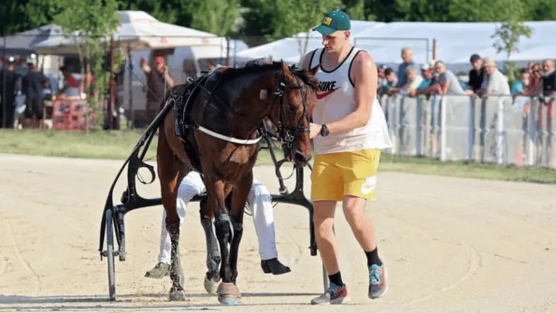 开云体育官网-Shames：约基奇将在赛季结束后从NBA退役，转战马术赛场备战28年奥运会